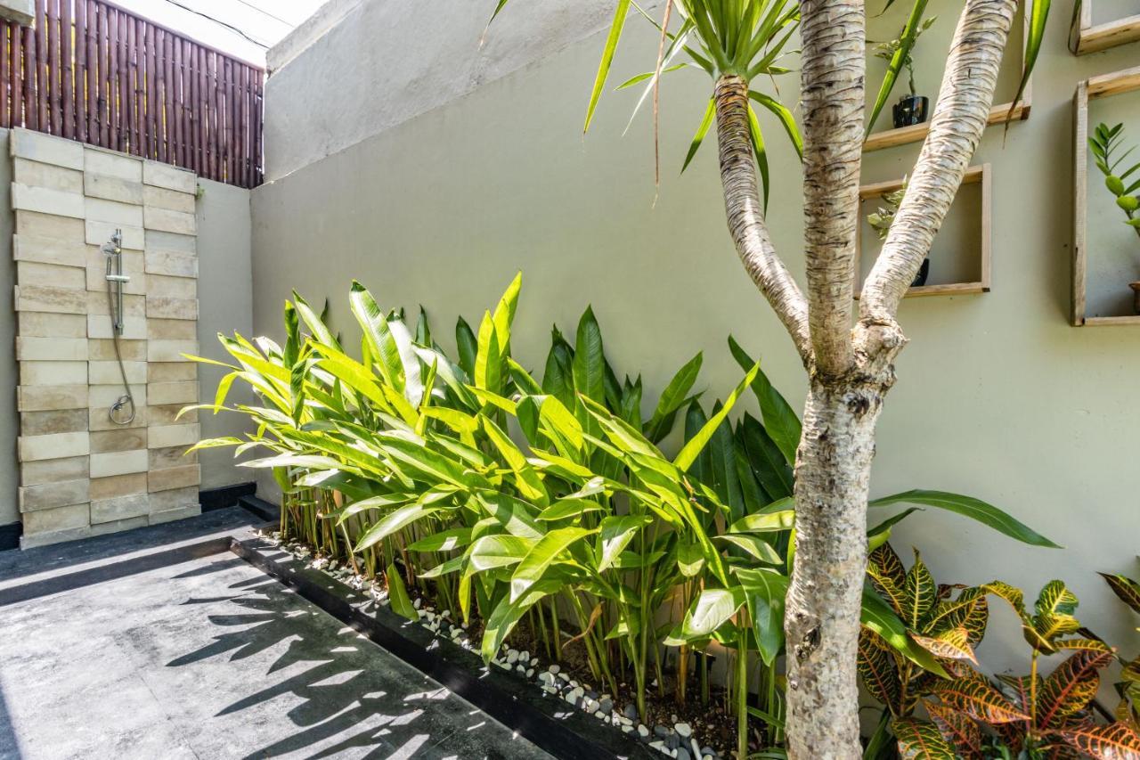 Newly Renovated Trendy 4bd Pvt In